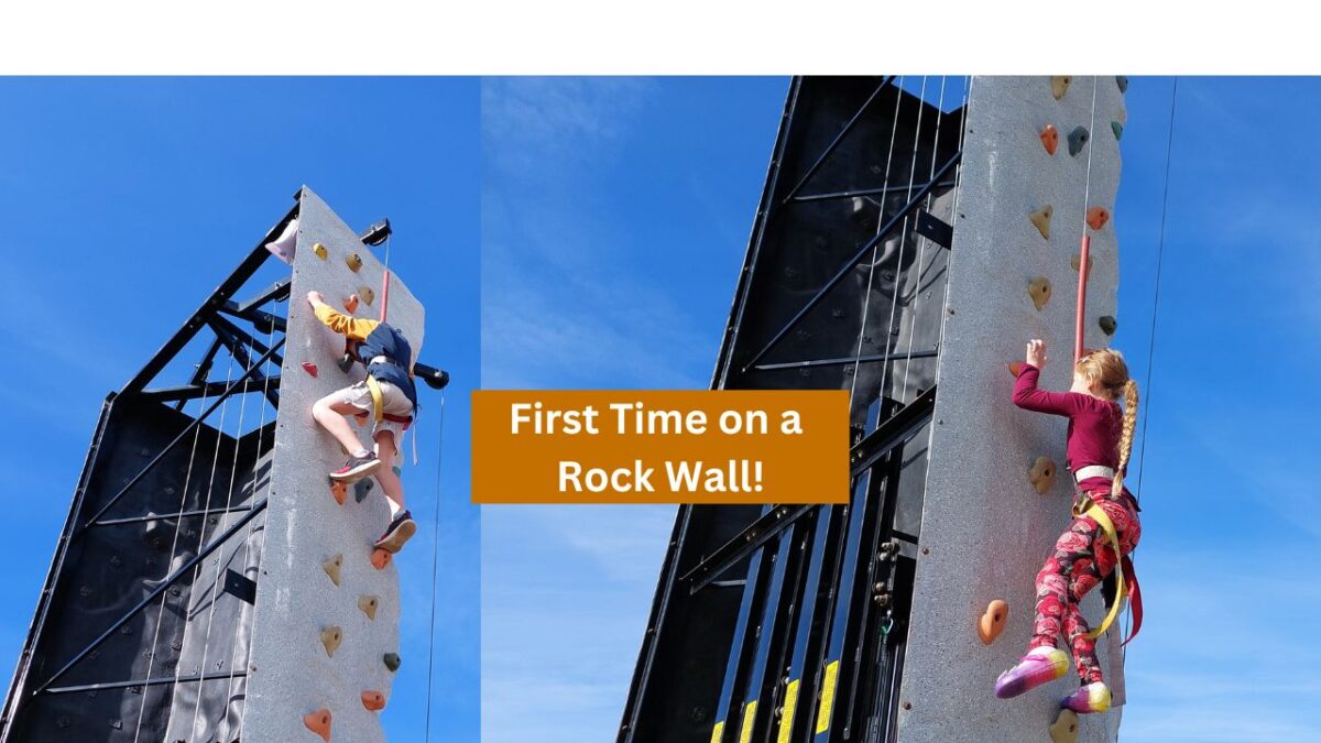 Climbing and Zip Lining at Wild Adventure Corn Maze